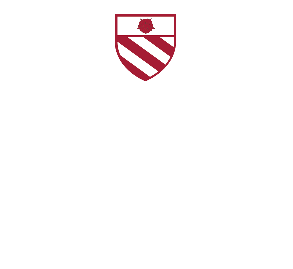 Logo Acqua Orsini
